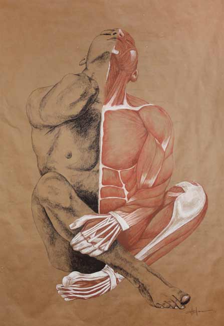 MarcyVillafana_Muscle-Man, anatomy drawing, male nude
